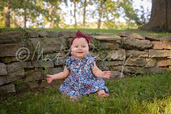 0004  0252 Sawyer170826