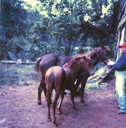 0448 20210125Sawyer img439