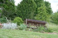 0005 sawyerclicks  _DSF6681