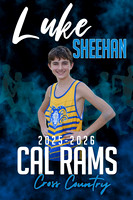LUKE SHEEHAN poster copy