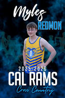 Myles Redmond poster copy