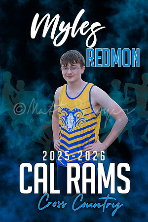 Myles Redmond poster copy