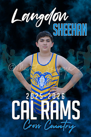 Langdon SHEEHAN poster copy
