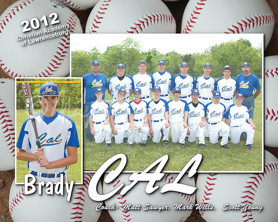 2012 Baseball 008 (Sheet 8)