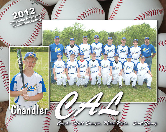 2012 Baseball 009 (Sheet 9)