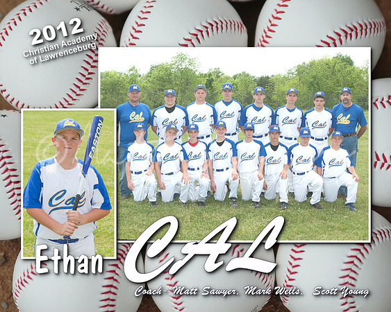 2012 Baseball 012 (Sheet 12)
