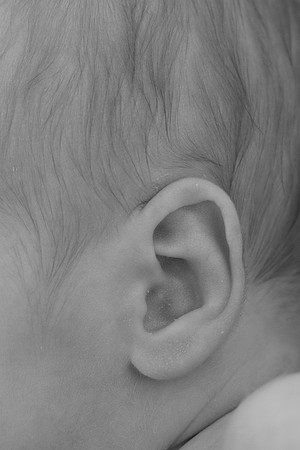 0022-Sawyer-DSCF1145