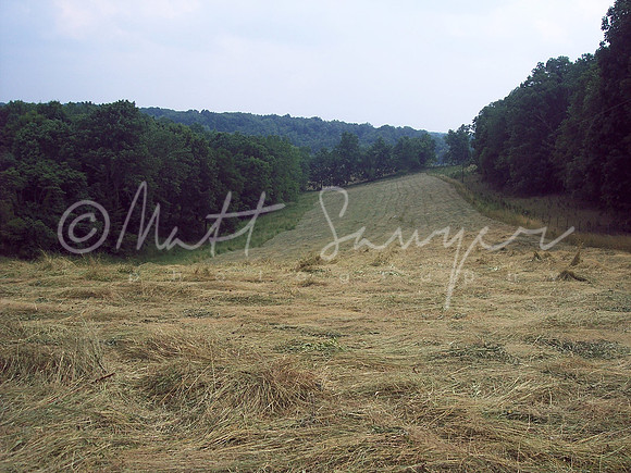 farm and Bday 008