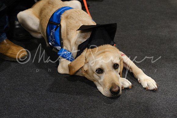 0666_sawyer_DSF3298