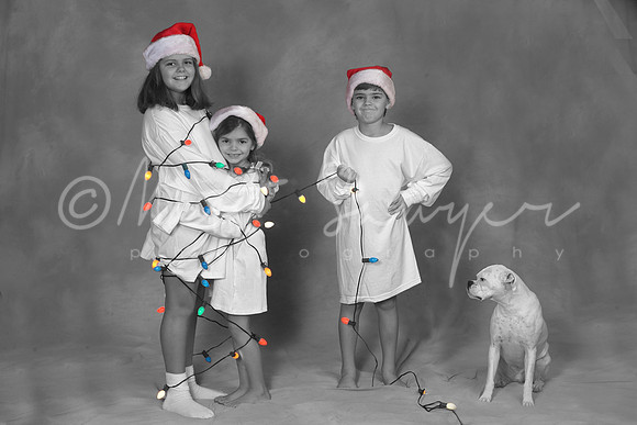 Christmas Card copy