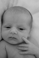 0003-Sawyer-DSCF1100