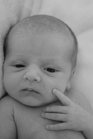 0003-Sawyer-DSCF1100