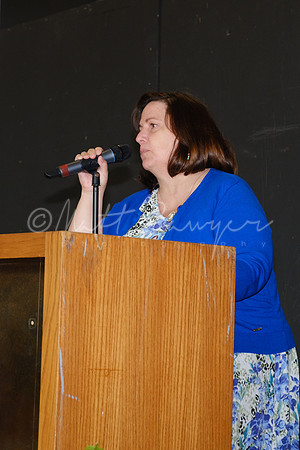 0042_sawyer_DSF4098