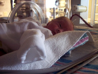 christmas 2005 014