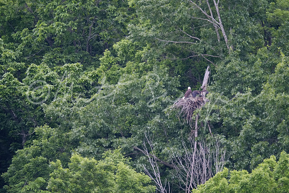 0285  9108 Sawyer170523