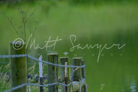 0021  8727 Sawyer170803