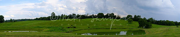 0065   Sawyer170803