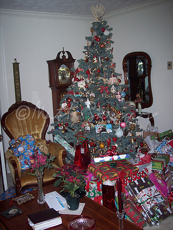 christmas 2005 008
