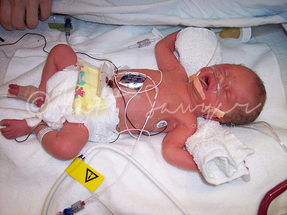 baby 006