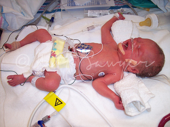 baby 005