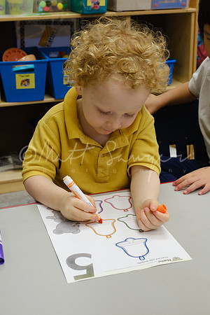0023_Sawyer_DSCF4846