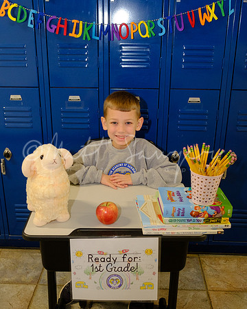 0027_Sawyer_DSCF6549