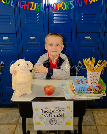 0028_Sawyer_DSCF6551