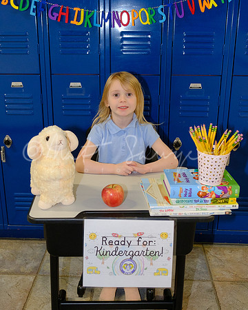 0040_Sawyer_DSCF6583