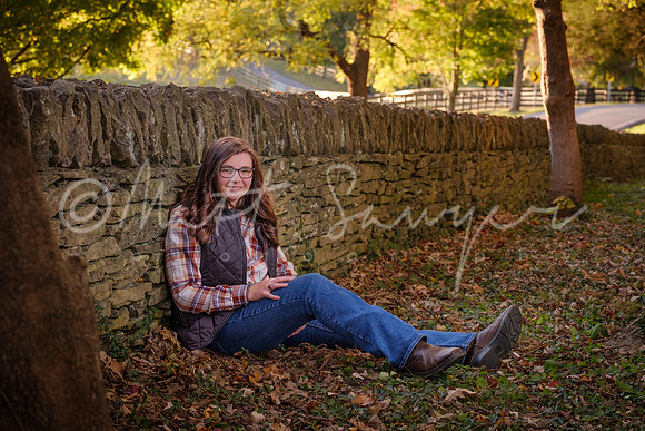0044   7712 Sawyer201017