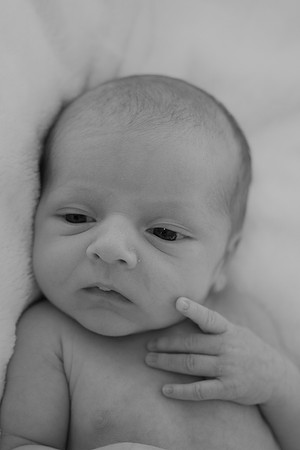 0004-Sawyer-DSCF1101