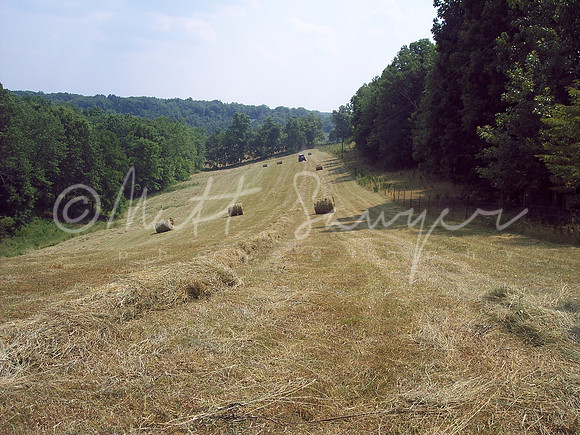farm and Bday 015