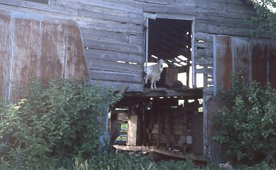 0010 20210111Sawyer img243