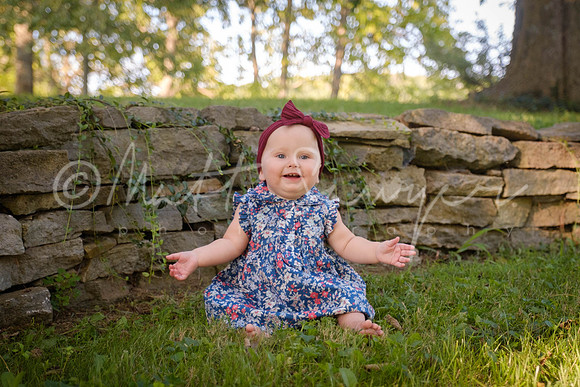 0001  0249 Sawyer170826