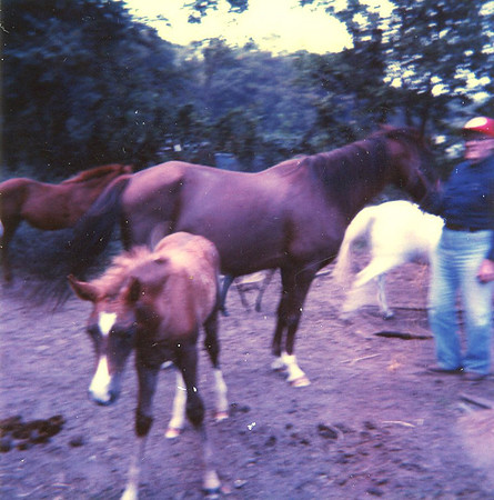 0447 20210125Sawyer img437