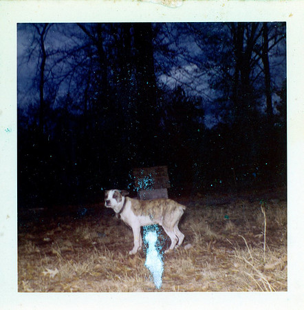 0428 20210125Sawyer img418