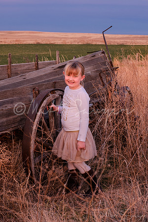 0010  5341 Sawyer161106