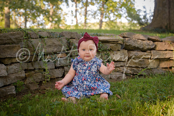 0006  0254 Sawyer170826