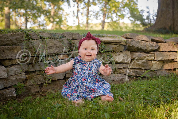 0005  0253 Sawyer170826