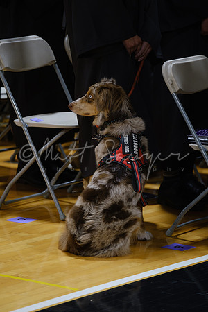 0864_Sawyer_DSCF9763