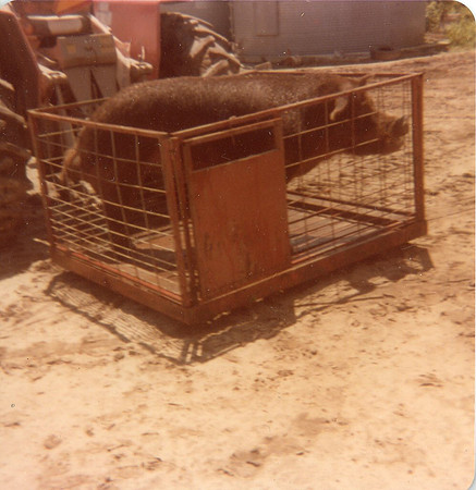 0354 20210124Sawyer img340