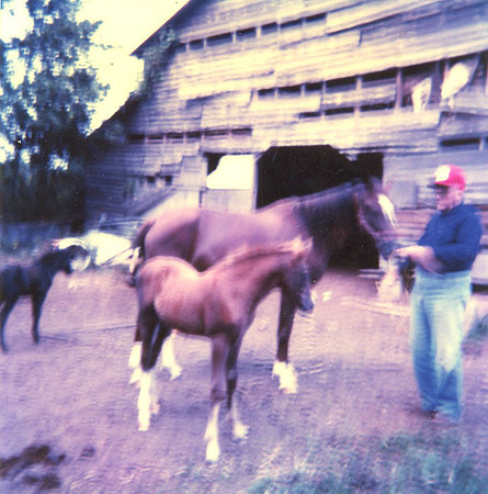 0446 20210125Sawyer img436