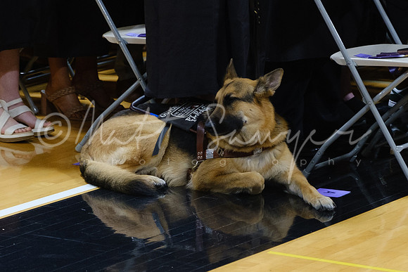 0412_Sawyer_DSCF9057