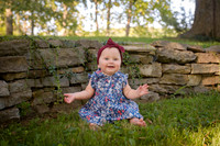 0003  0251 Sawyer170826