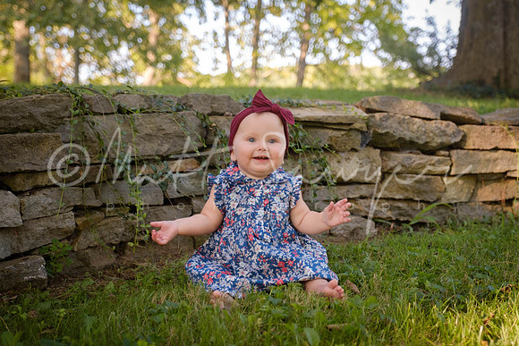 0003  0251 Sawyer170826
