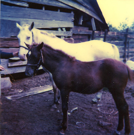 0450 20210125Sawyer img441